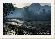 riz 17 * Rizières dans la brume du petit matinRicefields in the early morning mist
©Eric Mathieu * 800 x 535 * (73KB)